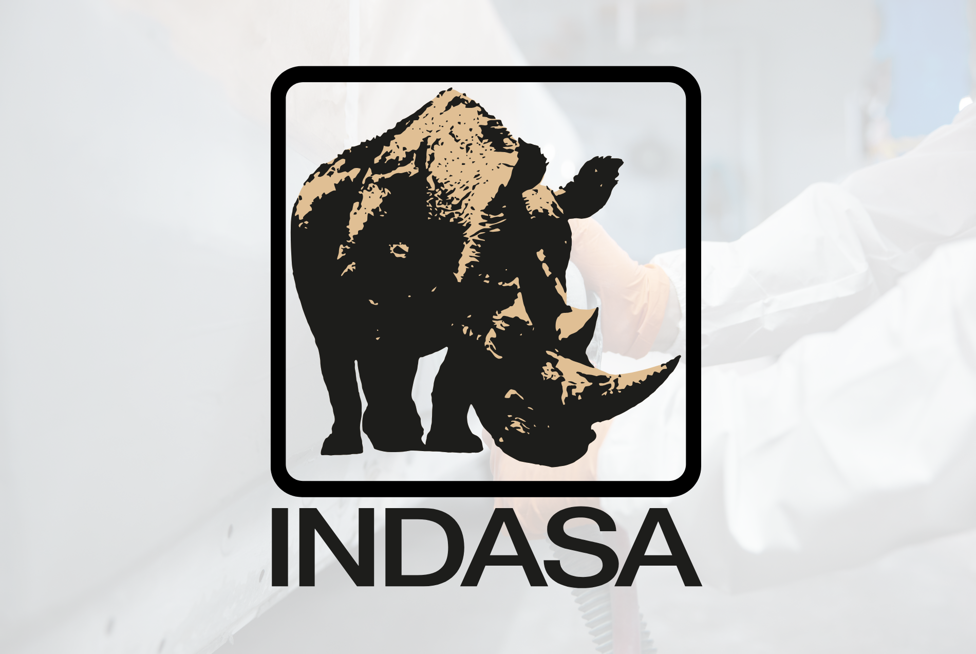 indasa