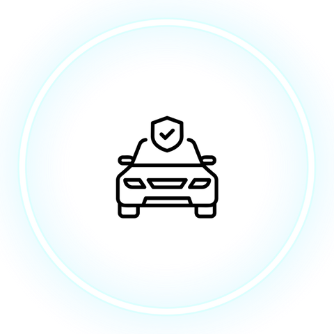 icons-network - safety